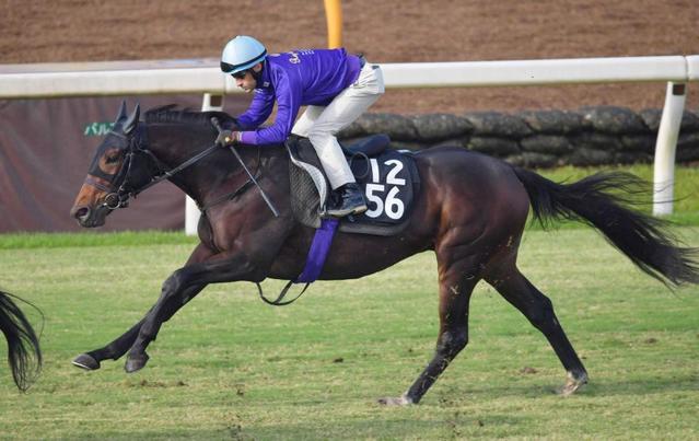 【POG】ルモンドブリエ 母は無敗2冠馬 大物に進化期待 友道師「能力はある」