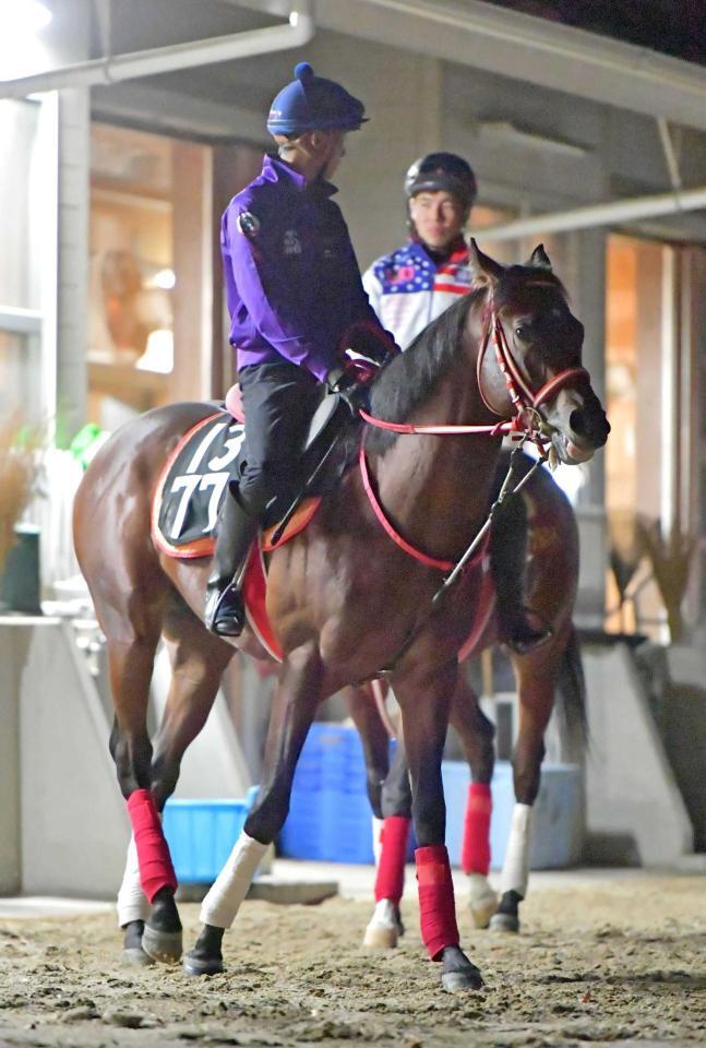 　陣営も期待するシュタールヴィント