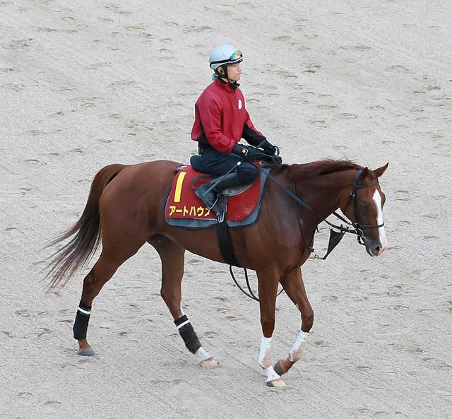 秋華賞 アートハウス 好相性の舞台で念願ｇ１タイトルを 競馬 レース デイリースポーツ Online