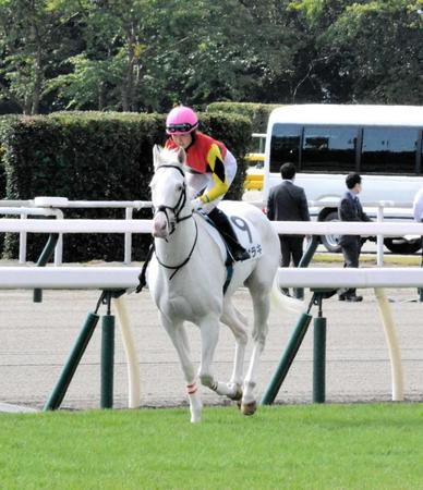 　新潟２Ｒに出走したアオラキと今村聖奈