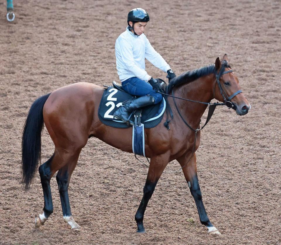 　デビュー２連勝を狙う良血馬オープンファイア