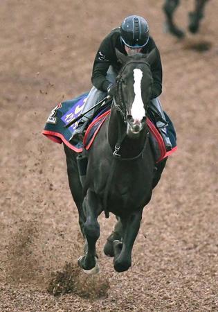 　美浦Ｗで順調ぶりをアピールしたイクイノックス（撮影・園田高夫）
