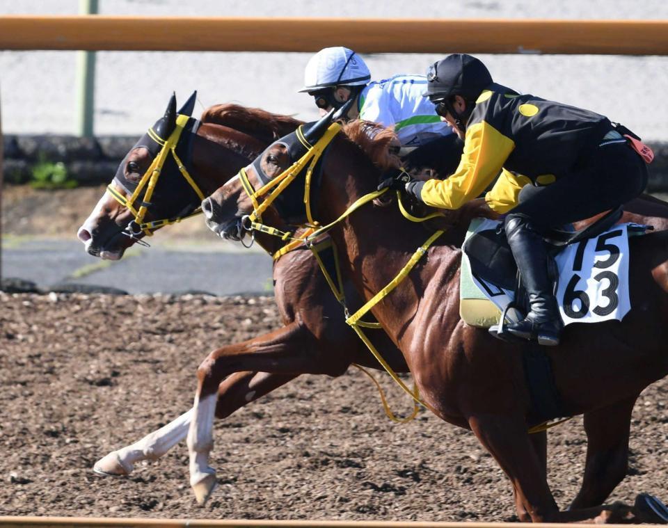 　栗東ＣＷで僚馬にきっちりと先着を決めたジャックドール（奥）