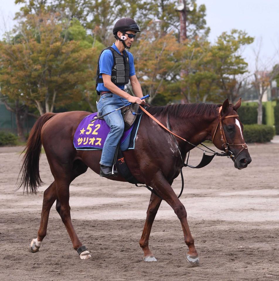 香港国際競走】サリオスら登録日本馬発表/競馬・レース/デイリー