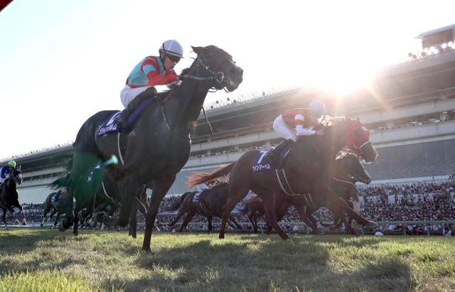 ジャンダルムが香港スプリント招待受諾 日本馬１１頭選出/競馬・レース