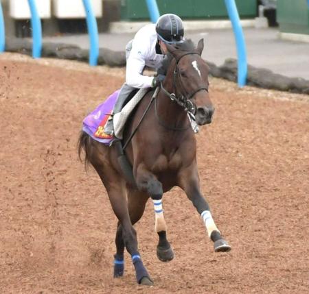 　スターズオンアース