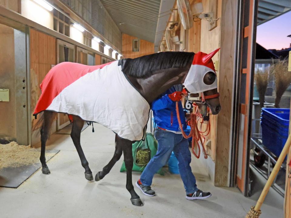 　２枠３番から自らのスタイルを貫くパンサラッサ（撮影・石湯恒介）