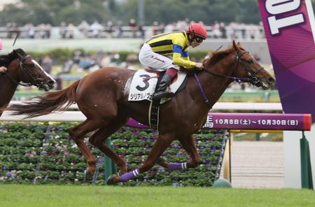 祖母はダイワスカーレット。先週の新馬戦を勝ち上がったシリアルノヴェル