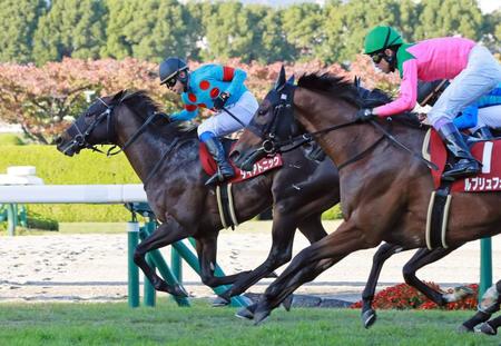 　直線抜け出して快勝したダイアトニック（左）＝撮影・石湯恒介