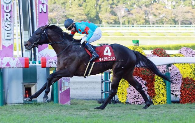 【スワンＳ】４番人気ダイアトニックが快勝　重賞４勝目