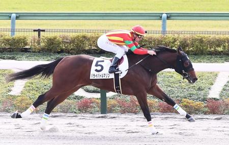 　新馬戦を制したパライバトルマリン（撮影・園田高夫）