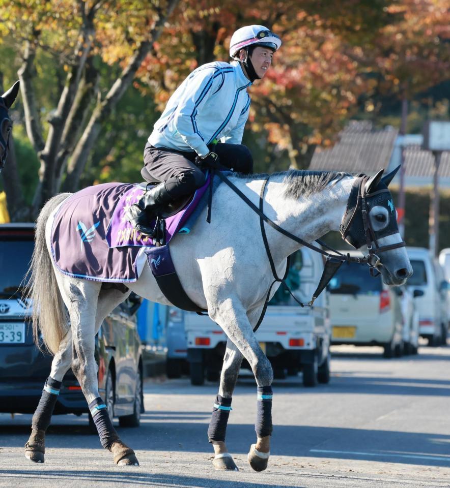 　秋の始動戦でＶ発進を狙うオメガパフューム