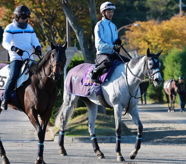 【みやこＳ】オメガパフューム負けられぬ　東京大賞典５連覇の偉業見据え好発進だ