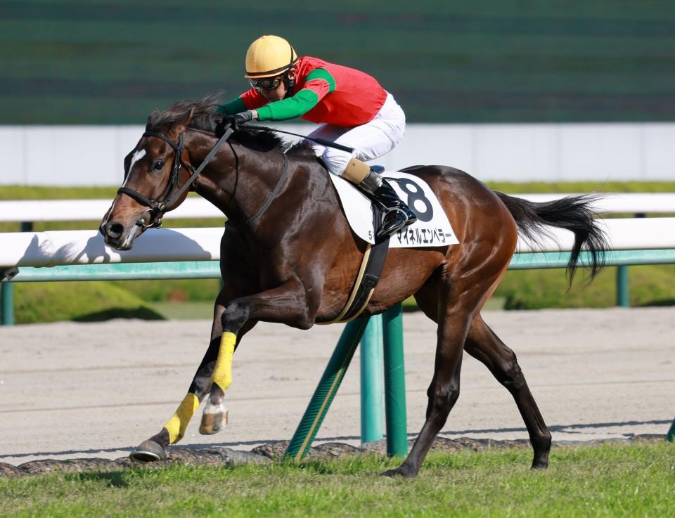土曜阪神５Ｒの新馬戦を制したマイネルエンペラー