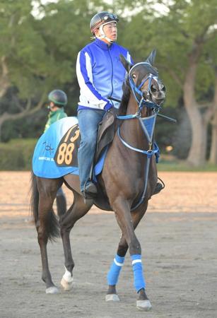 　今村聖奈とのコンビでタイトル奪取を目指すミカッテヨンデイイ