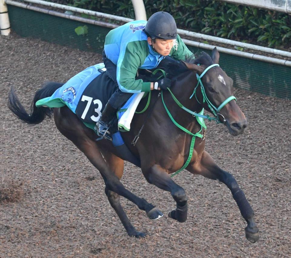 【ファンタジーS】アロマデローサ鋭伸 ラスト1F11秒9 池添学師「良かった」/競馬・レース/デイリースポーツ online