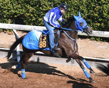 　距離延長で反撃を狙うミカッテヨンデイイ