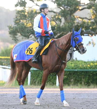 　繰り上がり出走も一発を狙うアメリカンフェイス（撮影・園田高夫）