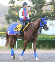 　繰り上がり出走も一発を狙うアメリカンフェイス（撮影・園田高夫）