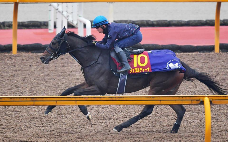 【エリザベス女王杯】ジェラルディーナ 充実のラスト1F11秒4 斉藤崇師「良くなってる」/競馬・レース/デイリースポーツ online