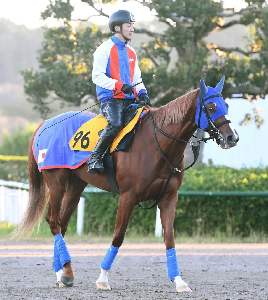 　繰り上がり出走も一発を狙うアメリカンフェイス（撮影・園田高夫）