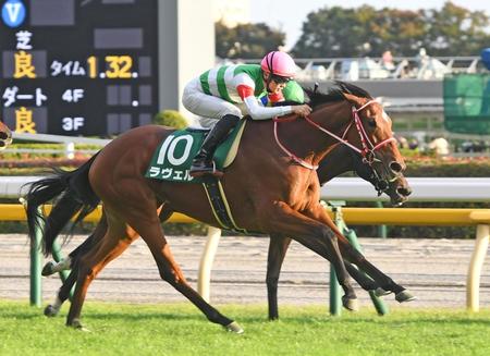 アルテミスＳを快勝したラヴェルは阪神ＪＦへ