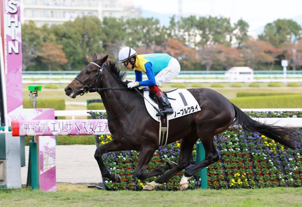 ５Ｒ新馬戦を快勝したノーブルクライ＝阪神競馬場（撮影・石湯恒介）