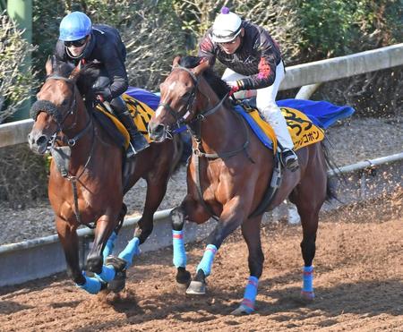 小島茂之調教師を背に追い切ったオニャンコポン（右）＝撮影・三好信也