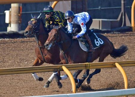 雄大な馬体を弾ませたダノンタッチダウン（奥）＝撮影・石湯恒介