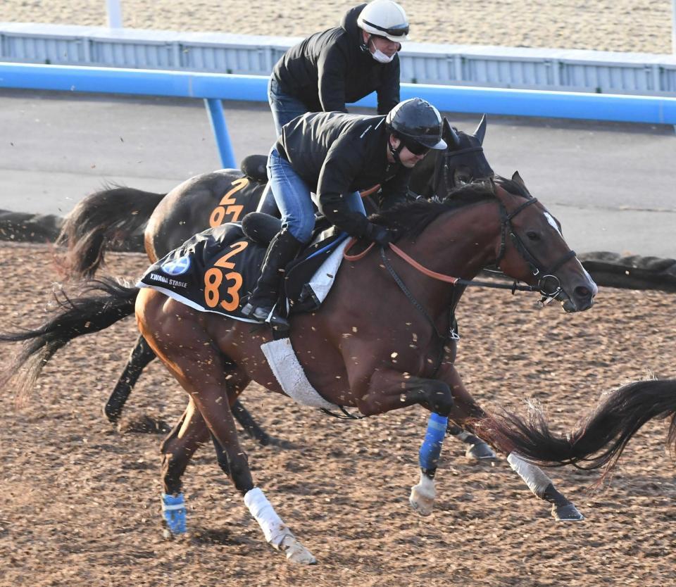 美浦Ｗ坂併せで追い切ったオールパルフェ（手前）＝美浦トレセン（撮影・三好信也）