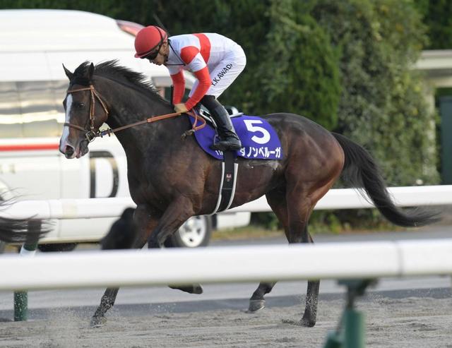 秋の天皇賞3着馬ダノンベルーガは香港Cを辞退 ジャパンCに登録