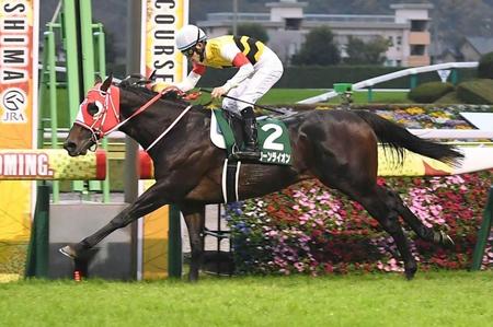 　まんまと押し切ったユニコーンライオン（撮影・三好信也）