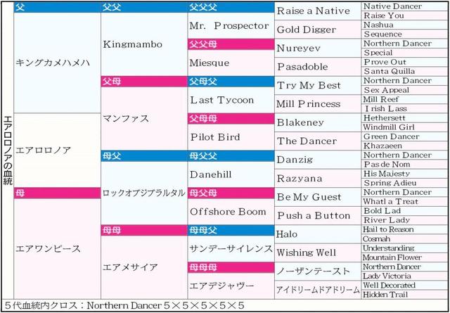 【マイルＣＳ】エアロロノア　堅実の裏返しに必死さ欠ける一族　笹田流調整でひと皮むけた走りを