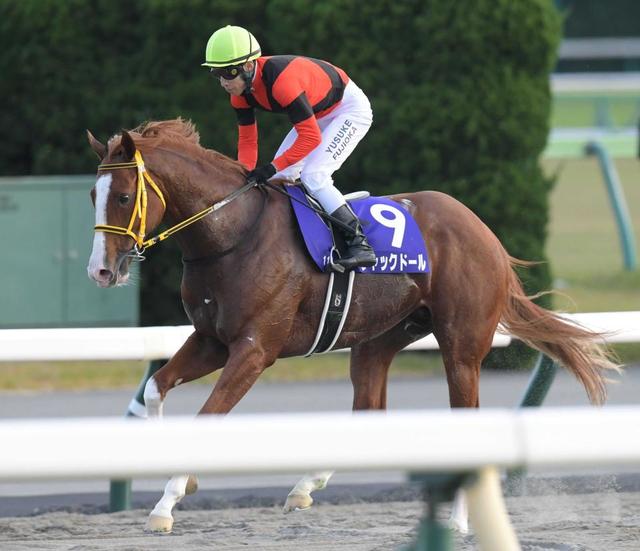ジャックドール武豊との新コンビで香港Cへ ユタカ「すぐに思い出したのはサイレンススズカ」