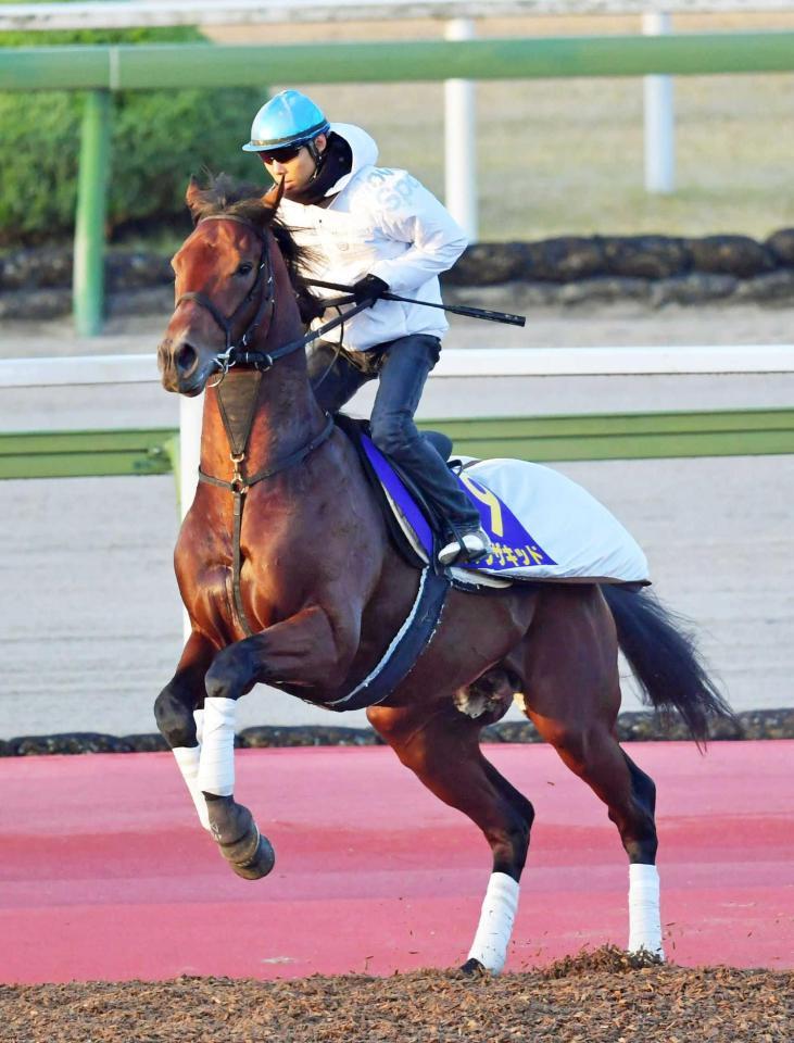 　久々にＧ１舞台へ帰ってくる北村友とダノンザキッド（撮影・石湯恒介）