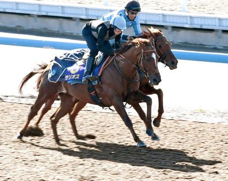 　ムーアを背に美浦Ｗで力強いフットワークを見せたサリオス（手前）＝撮影・園田高夫