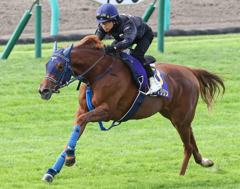 ウインマリリンは引き続きレーンで香港ヴァーズへ/競馬・レース/デイリースポーツ online