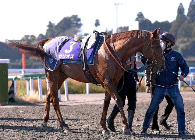 【東京＆阪神の危険な人気馬】阪神１１Ｒ　サリオス