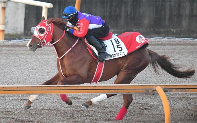 【マイルＣＳ】馬場状態から浮上するのはこの馬だ