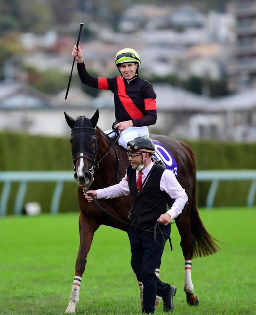 マイルＣＳ】６番人気セリフォスがＧ１初制覇/競馬・レース/デイリー ...