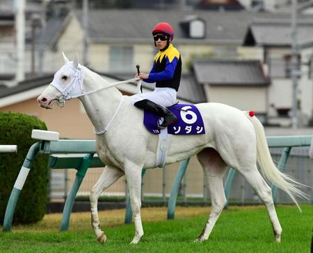 　３着に奮闘したソダシ