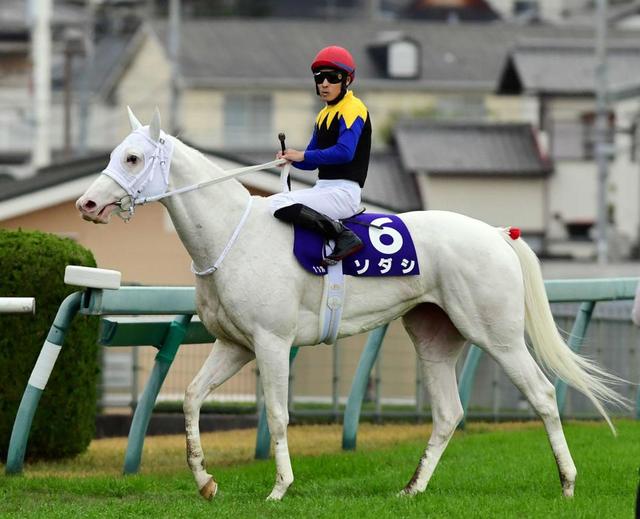 【マイルＣＳ】ソダシ　価値ある銅　３着争い制した　吉田隼「踏ん張ってくれた」