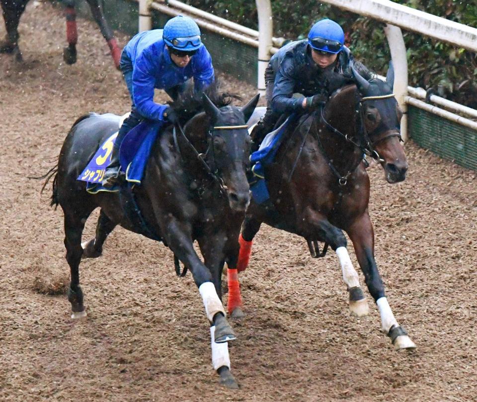 　栗東坂路を力強く駆け上がったシャフリヤール（左）（撮影・石井剣太郎）