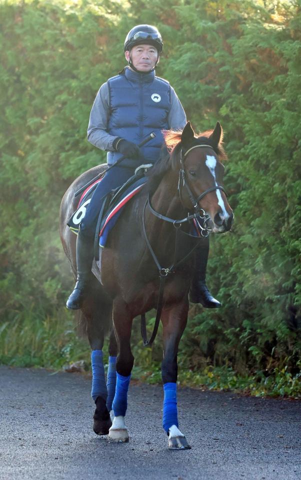 　初陣Ｖに向け、上々の気配を見せるアスクビートルズ（撮影・石湯恒介）