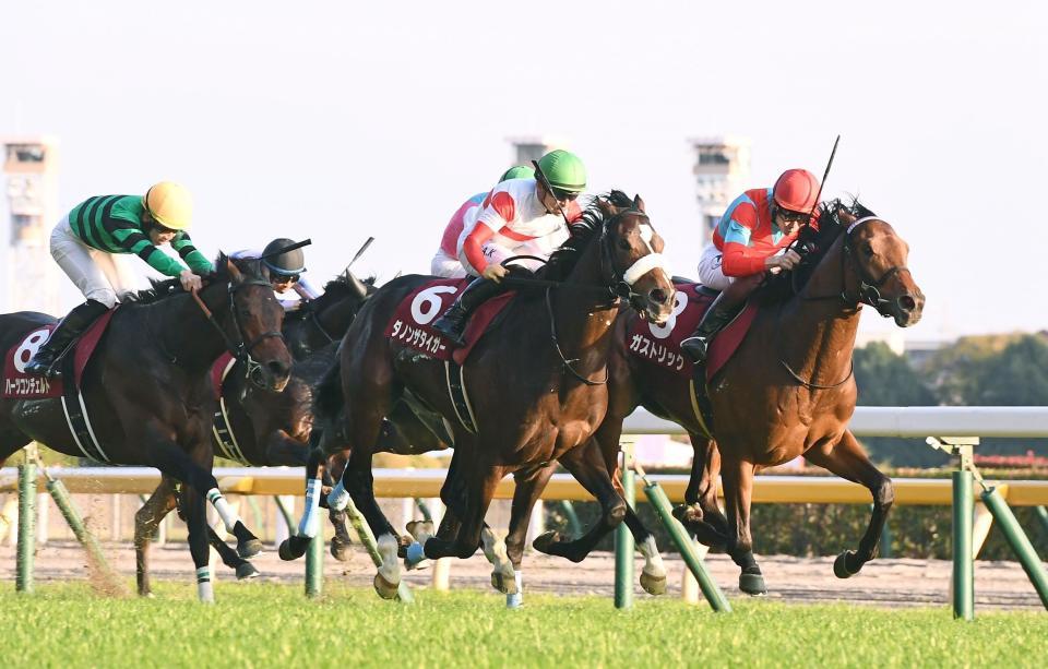 東京スポーツ杯２歳Ｓを制したガストリック（右）