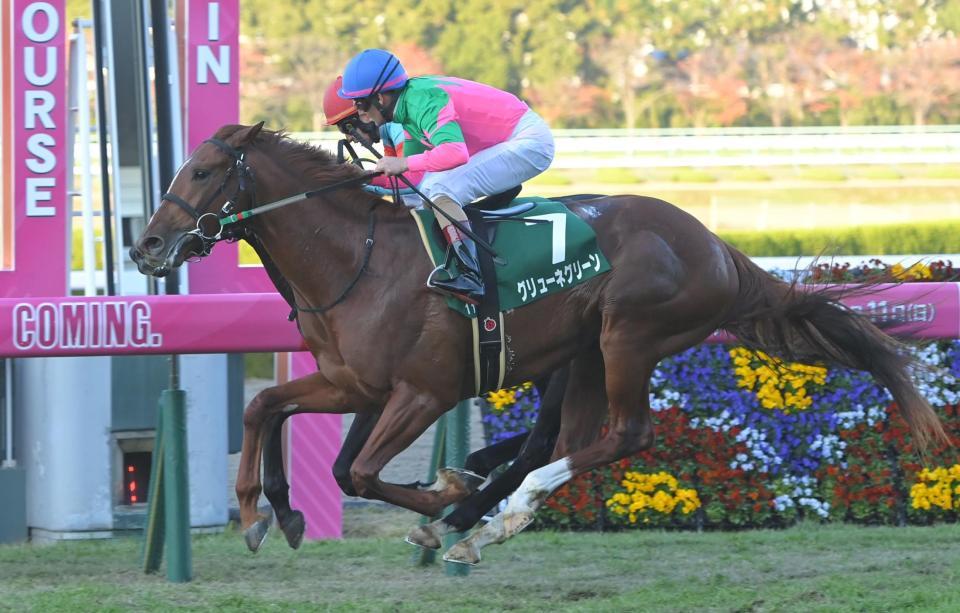 　トップナイフ（奥）との競り合いを制したグリューネグリーン（撮影・高部洋祐）