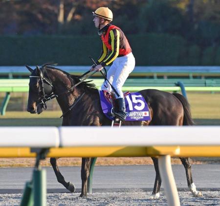 僅差の２着に敗れたシャフリヤールと鞍上のＣ・デムーロ