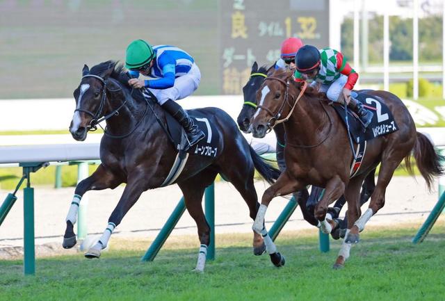 【白菊賞】ムーンプローブ連勝　いざＧ１へ　上村師「レースぶりも上手に」