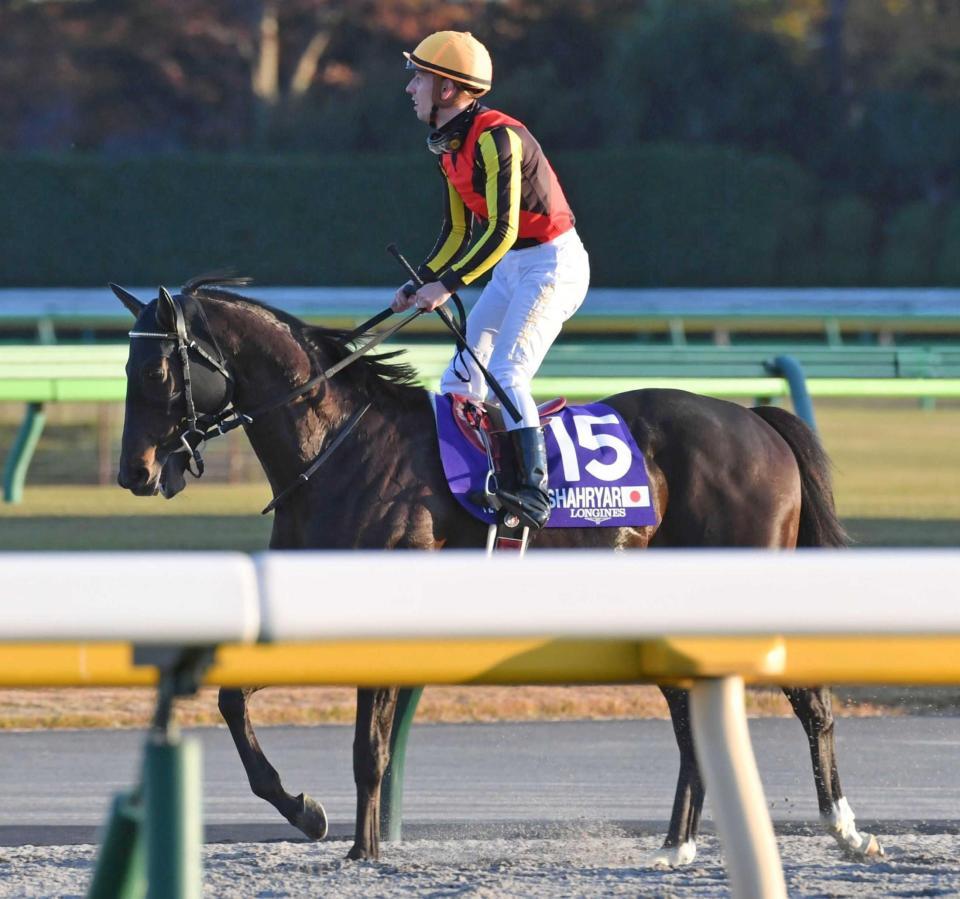 僅差の２着に敗れたシャフリヤールと鞍上のＣ・デムーロ