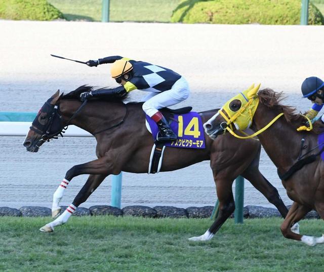 菊花賞馬アスクビクターモア　有馬記念見送り　来春は天皇賞・春か大阪杯を目標に